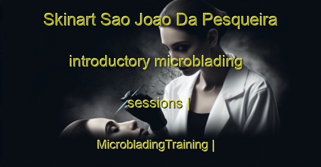 Skinart Sao Joao Da Pesqueira introductory microblading sessions | MicrobladingTraining | MicrobladingClasses | SkinartTraining-Portugal